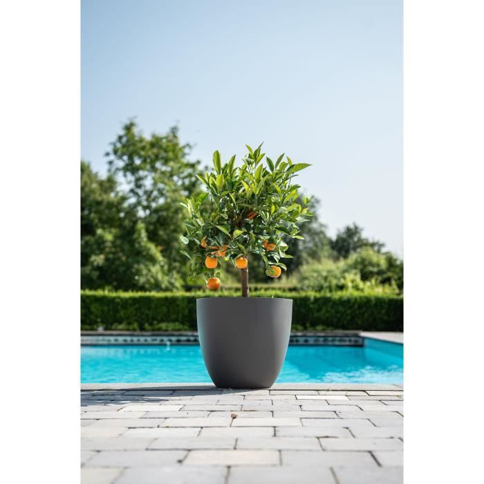 Pot de fleurs - GARDEN ID - Phoenix Anthracite - 48 x 42 cm - 100% Recyclé et Recyclable - Résistant au Gel et UV - Pour Extérieur