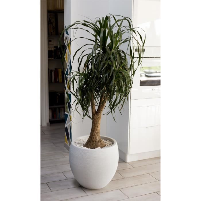 EDA Pot rond Graphit Ø50cm - Contenance 46L - Blanc cérusé