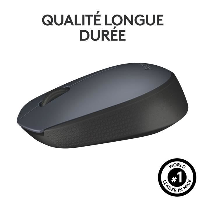 Souris - Sans fil - Logitech - M170 - Ambidextre - Gris