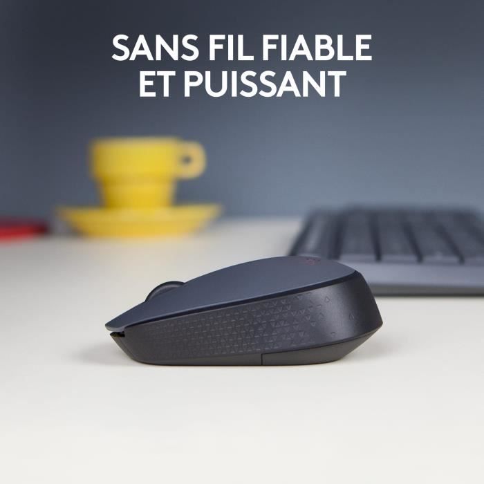 Souris - Sans fil - Logitech - M170 - Ambidextre - Gris