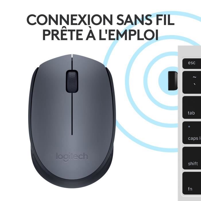 Souris - Sans fil - Logitech - M170 - Ambidextre - Gris