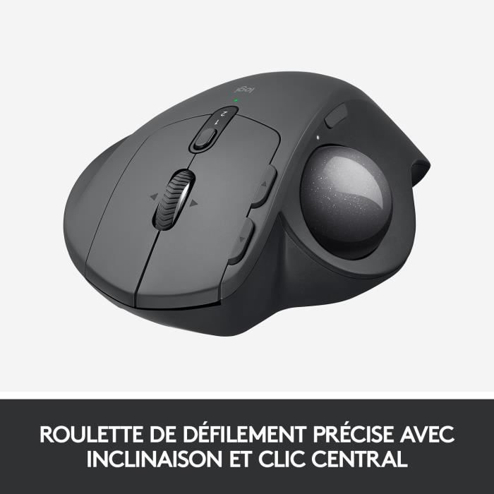 Souris ergonomique - Sans fil - Logitech - MX Ergo - Graphite