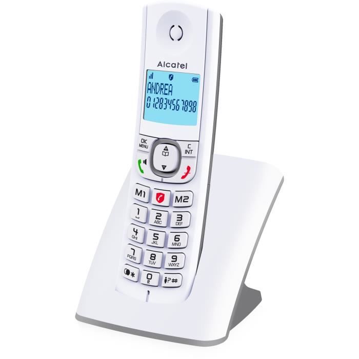 Téléphone sans fil - ALCATEL - F530 - Solo Gris