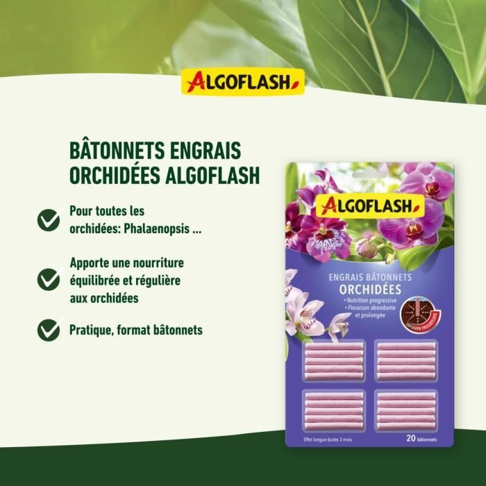 Engrais pour orchidées - ALGOFLASH - 20 bâtonnets - Action jusqu'a 3 mois