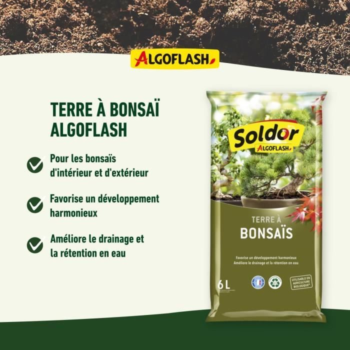 ALGOFLASH - Terre a Bonsais 6 L