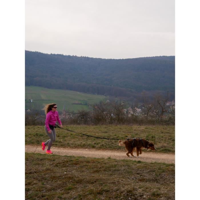 Harnais pour chien - SYMBIOZ - L - Noir / Bleu