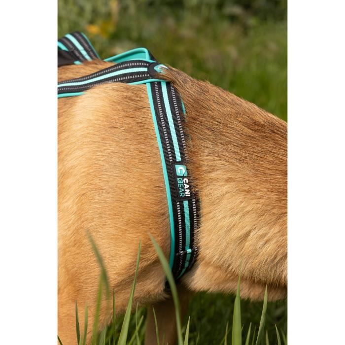 Harnais de traction pour chien - OLYMPIA - M - Type X-back - Bleu