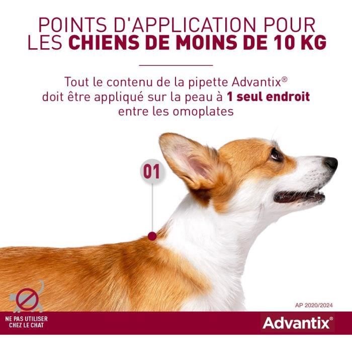 ADVANTIX Chien Solution Antiparasitaire Tres Petite Race 1,5 a 4kg 6 pipettes