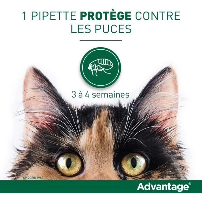 ADVANTAGE Solution Antipuce Chat Lapin 1 a 4kg 4 pipettes