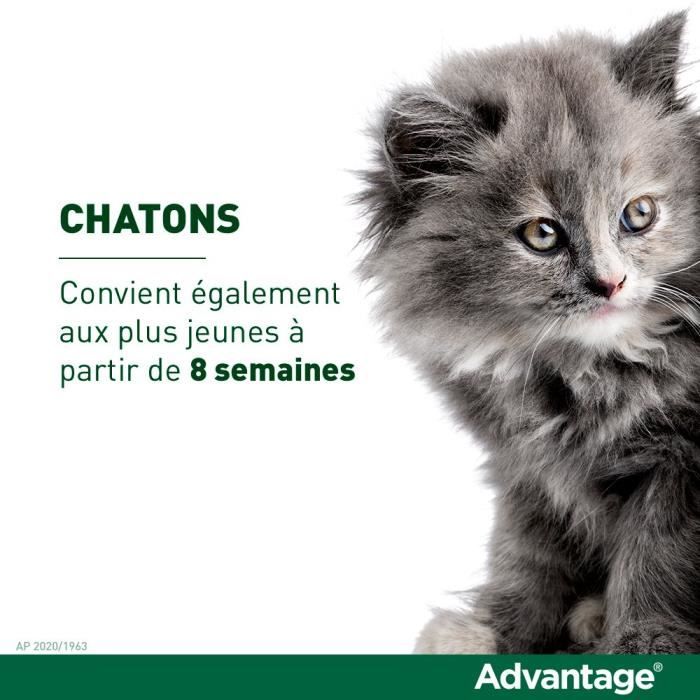 ADVANTAGE Solution Antipuce Chat Lapin 1 a 4kg 4 pipettes