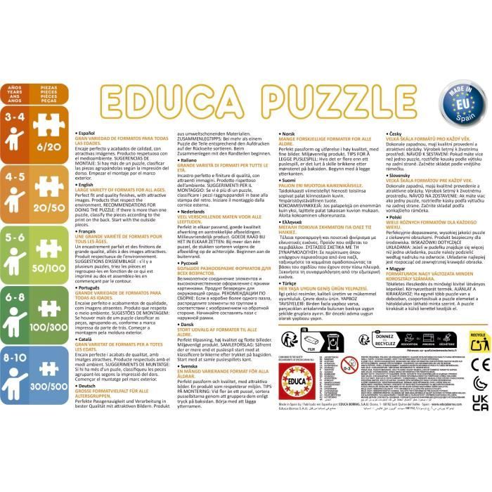 Puzzle - EDUCA - Petit Ours Brun : Ensemble de 2 puzzles de 48 pieces pour enfants des 4 ans