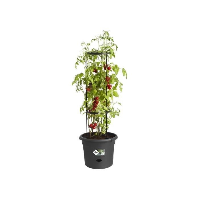 ELHO Pot a tomate Green Basics - 33 cm - Noir vif