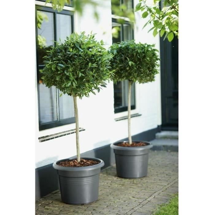 Pot De Fleurs Rond GREEN BASICS - Plastique  - Ø40 - Noir