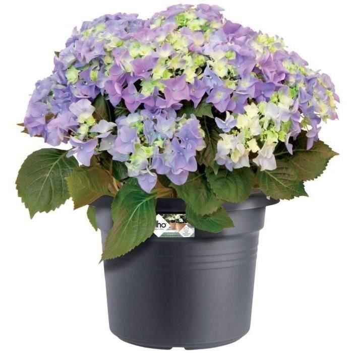 Pot De Fleurs Rond GREEN BASICS - Plastique  - Ø40 - Noir