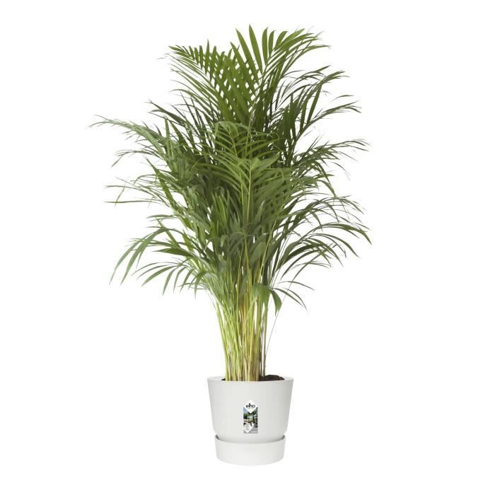 elho  Greenville Pflanztopf Ø47 cm Pot a Plantes weiß - 123