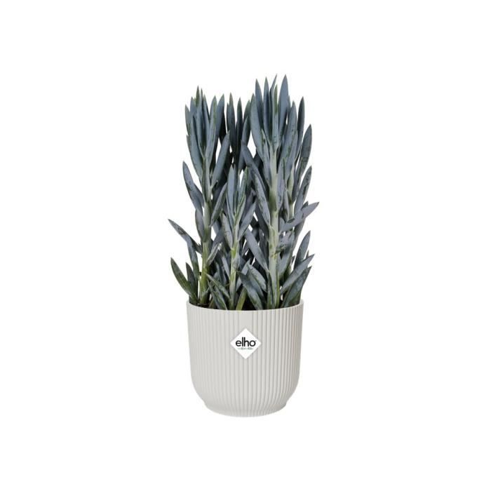 ELHO Vibes Fold Pot de fleurs rond Roues 35 - Blanc - Ø 35 x H 32 cm - intérieur - 100% recyclé