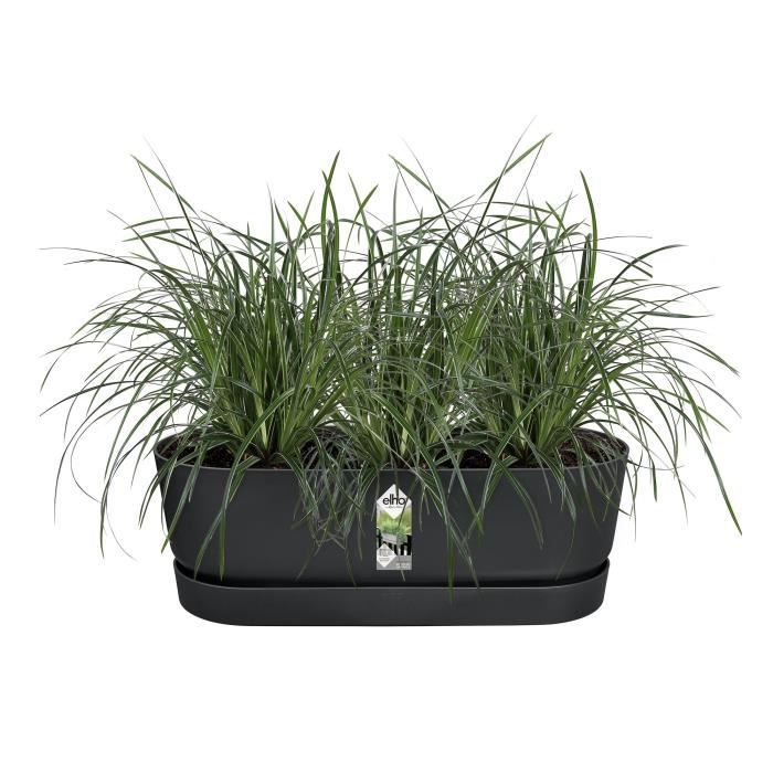 Pot de fleurs ELHO Greenville Easy Balcony 52 - Living Noir - Balcon - L 21.2 x W 52 x H 19.4 cm