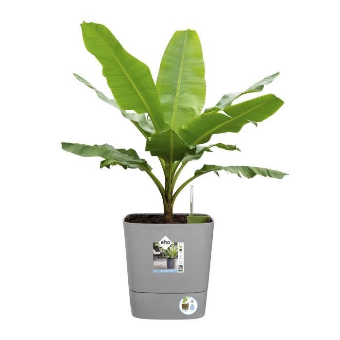 Pot de fleur Elho Plastique Carré Greensense Aqua Care Vert Jungle 29,5 x 29,5 x H 30,2 cm 15 L