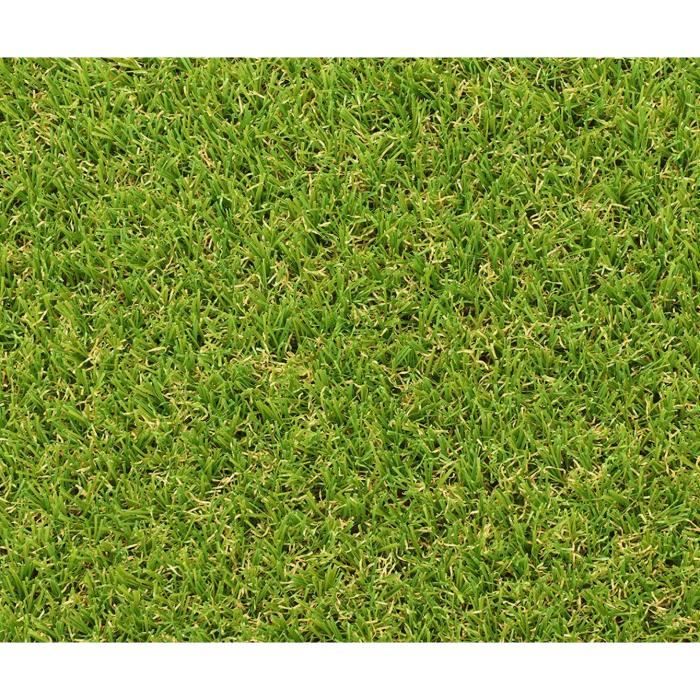 Gazon synthétique - Exelgreen - Campus 25mm - 1m x 5m