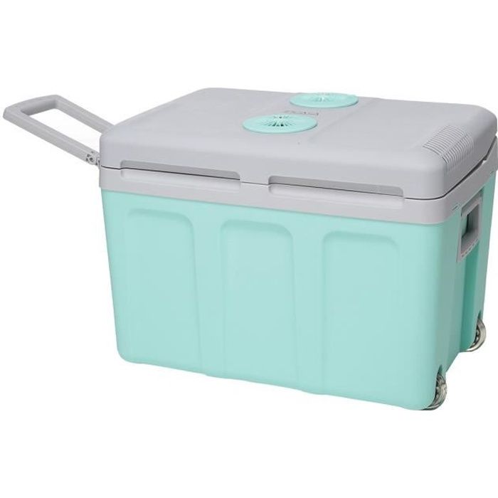 Glaciere thermoélectrique EZA 40L - Alimentation 12/220V - Vert - Idéale pour l'été en voiture