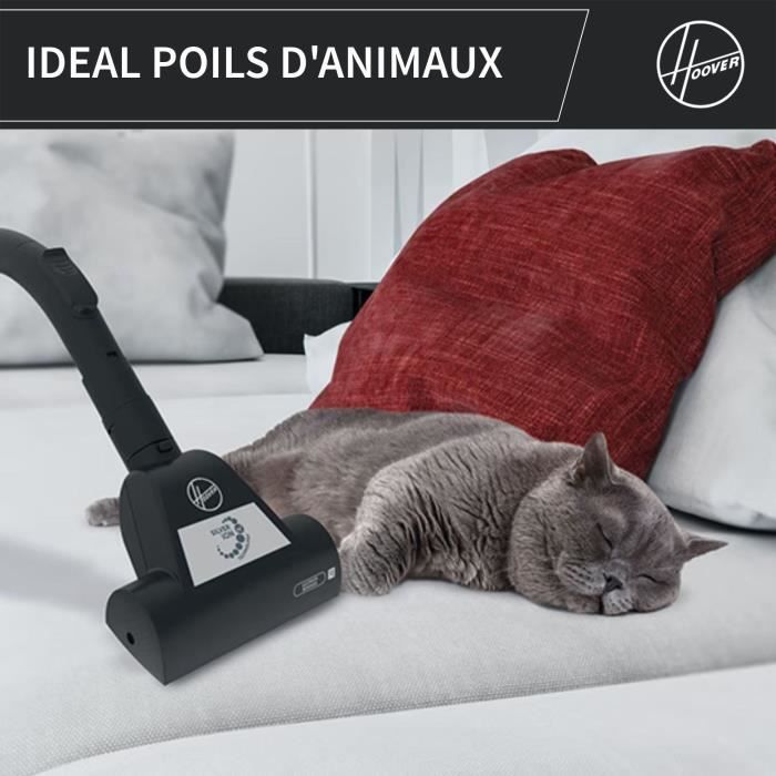 Aspirateur Traineau Sans Sac - HOOVER - HP320PET - 850 W - 2 L - 75 dBA - Spécial animaux