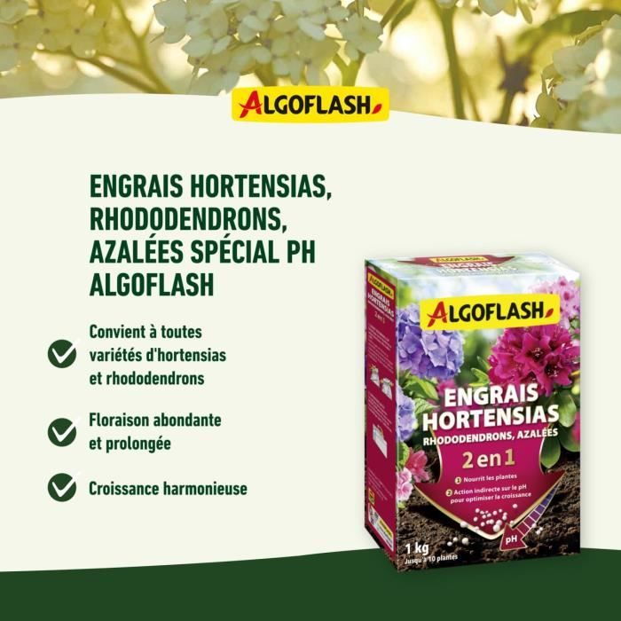 Engrais Hortensias, Rhododendrons et Azalées - ALGOFLASH NATURASOL - Spécial pH - 1 kg