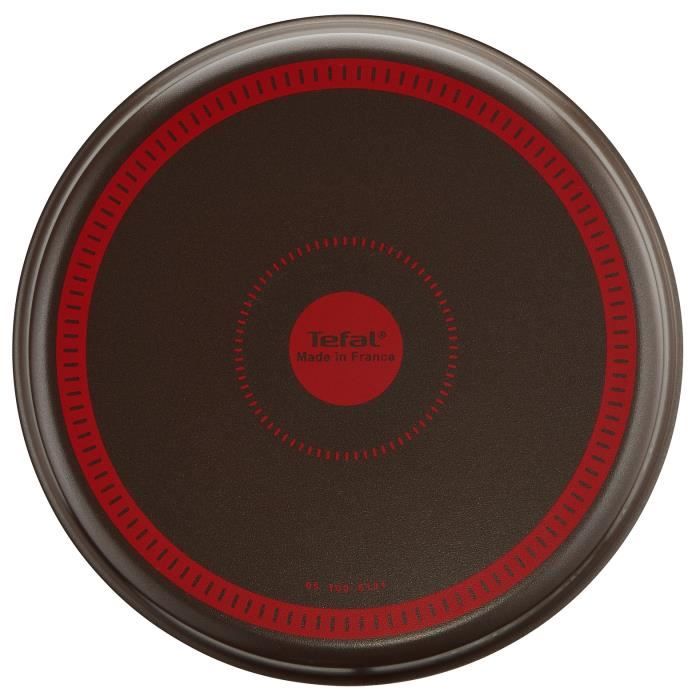 TEFAL Success Moule a manqué 24 cm, Revetement antiadhésif, Fabriqué en France, Tabac J1606402