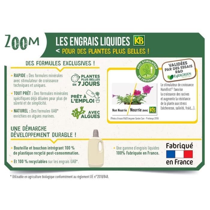 KB Engrais Rapide Orchidées 250ml