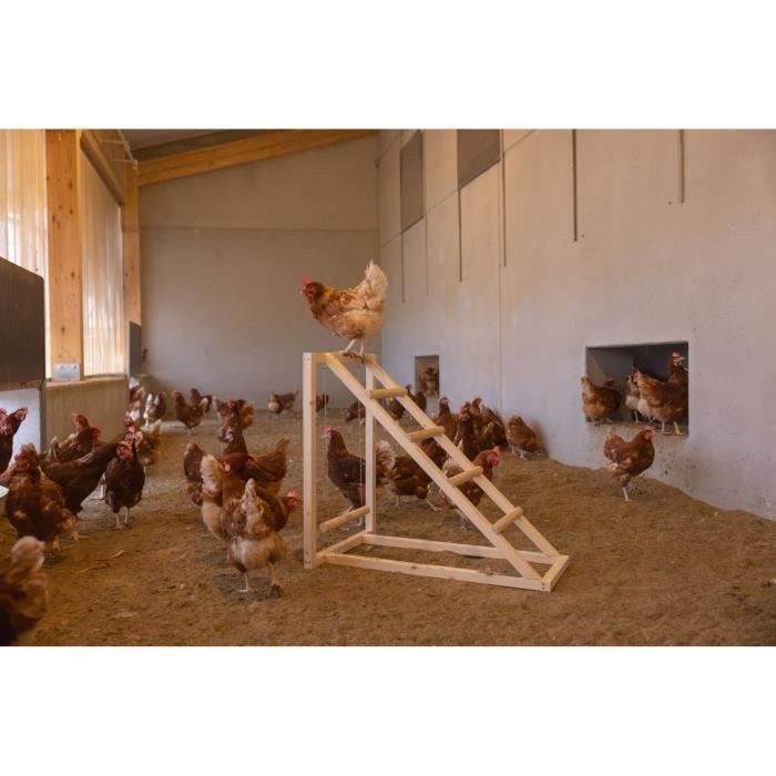 Tour d'escalade pour poules - KERBL - 85 x 55 x 76 cm - Avec balançoire - Echelle robuste