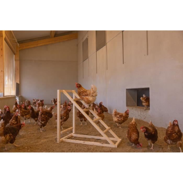 Tour d'escalade pour poules - KERBL - 85 x 55 x 76 cm - Avec balançoire - Echelle robuste