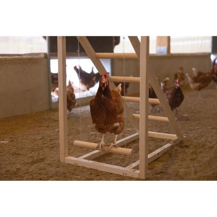 Tour d'escalade pour poules - KERBL - 85 x 55 x 76 cm - Avec balançoire - Echelle robuste