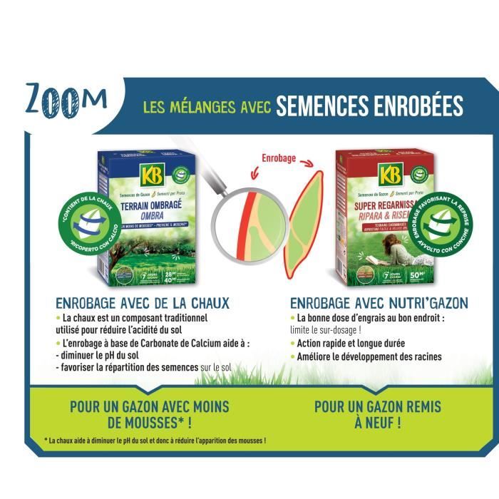 Semences Gazon KB KREGFAC100 - Super Regarnissant 2 kg - Pour terrains ombragés - Germination rapide 7 jours - Pour 100m²