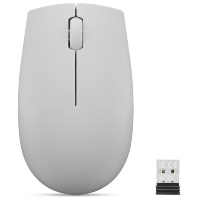 Souris sans fil compacte Lenovo 300 avec batterie - Gris