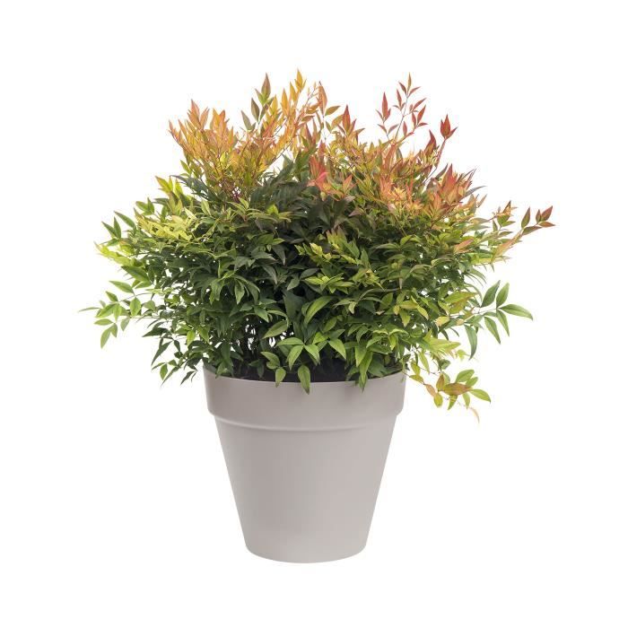 ELHO Pot de fleurs rond Loft Urban - Ø 20 cm - Gris chaud