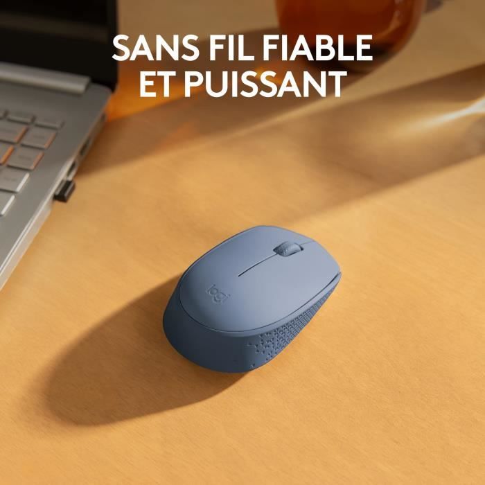 Souris - Sans Fil - Logitech - M171 - Ambidextre - Bleu Gris