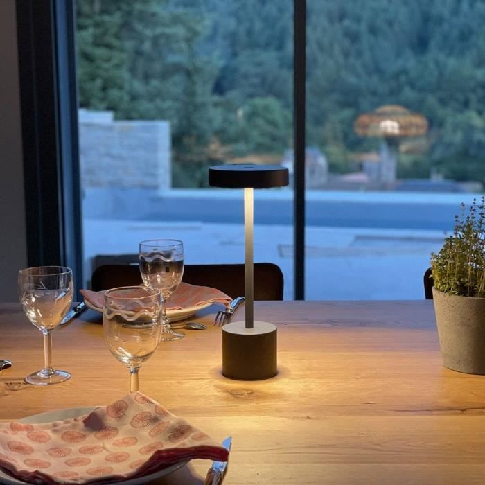 Lampe de table sans fil - LUMISKY - ROBY - H30 cm - Touch en aluminium - Gris foncé - LED