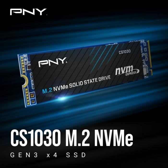 Disque SSD Interne - PNY - CS1030 M.2 GEN3 - 250 Go - NVMe (M280CS1030-250-RB)