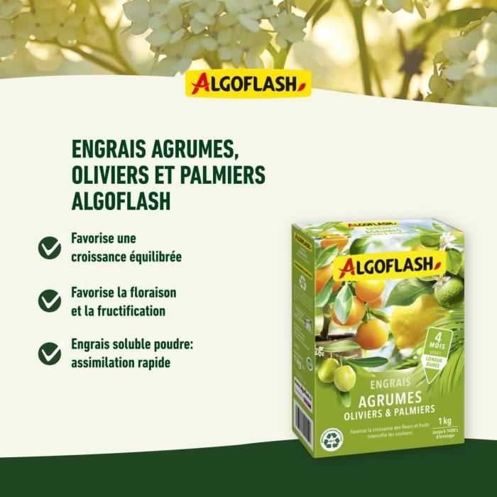 Engrais Agrumes, Olivers et Palmiers - ALGOFLASH NATURASOL - 1 kg