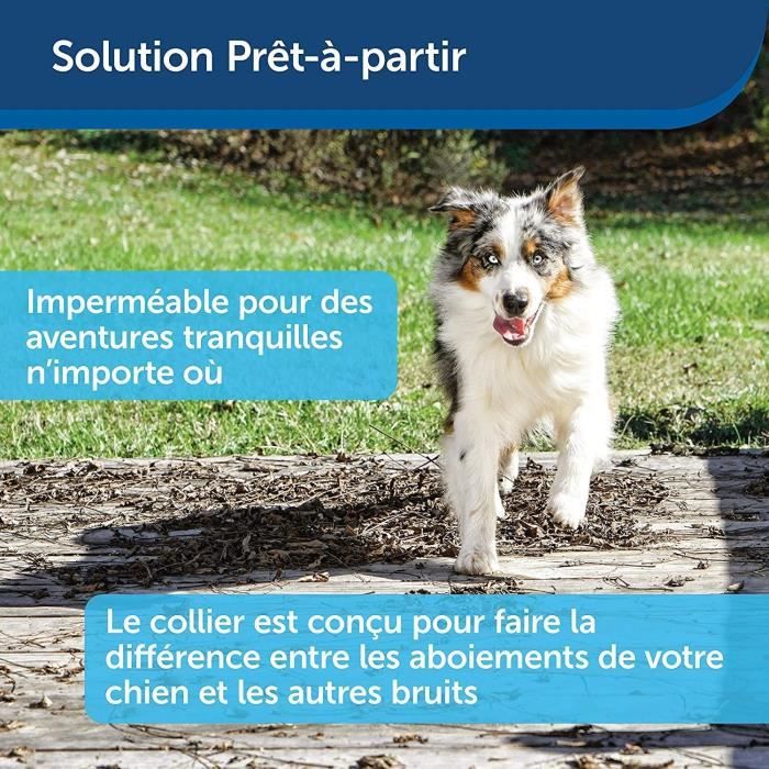 PetSafe - Collier Anti-Aboiement pour Chien, Stimulation Eléctrostatique Progressive (6 Niveaux), Lot de 2 Piles RFA-67 (6V)