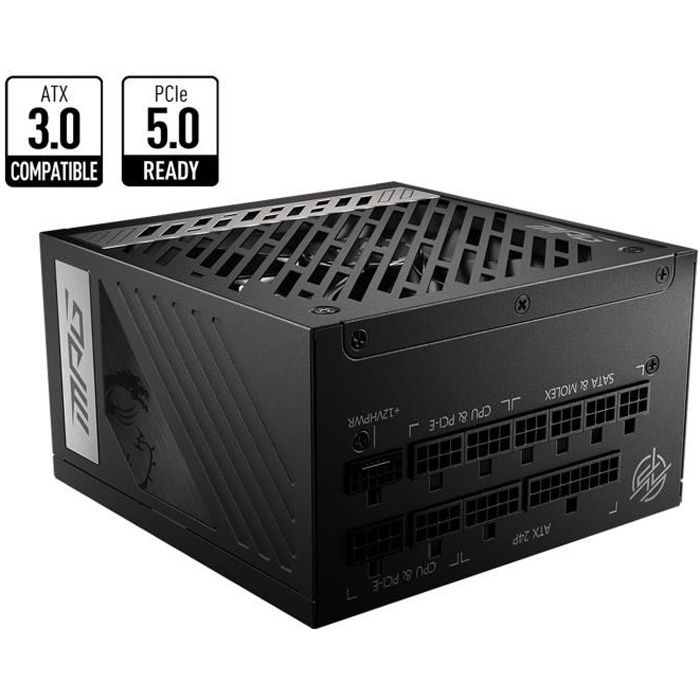 MSI MPG A1000G PCIE5 Bloc d'alimentation 1000W