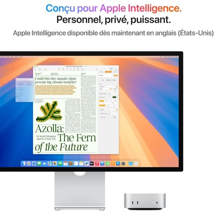 Apple - Mac mini (2024) Puce Apple M4  - RAM 16Go - Stockage 256Go SSD - CPU 10 coeurs GPU 10 coeurs - Argent