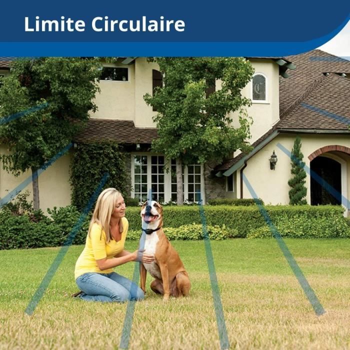 PetSafe Collier récepteur sans fil pour animaux de compagnie 3,6+ kg