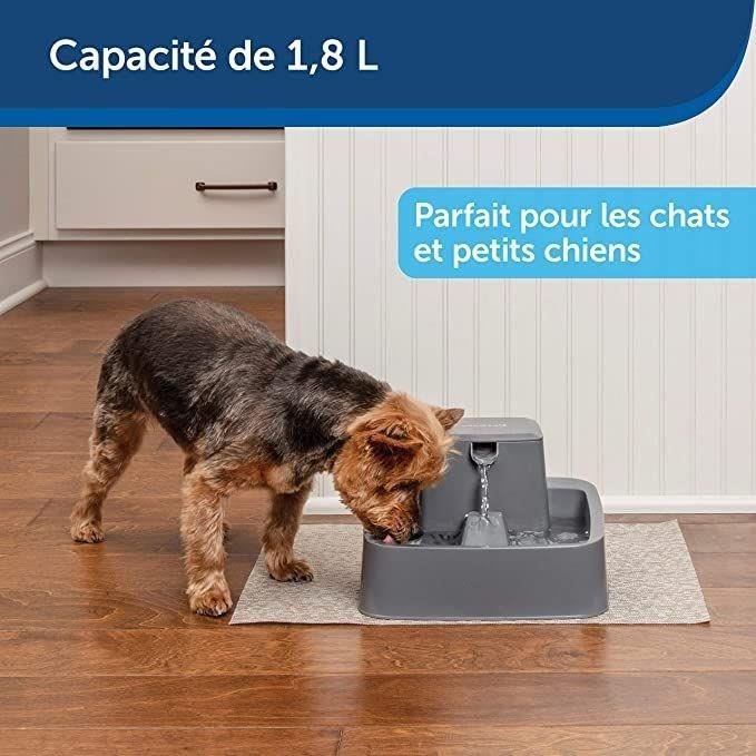 PetSafe - Fontaine a Eau Drinkwell pour Animaux - Idéale pour Chat/Petits Chien 1,8 L  Différents flux d'eau - Facile a Nettoyer