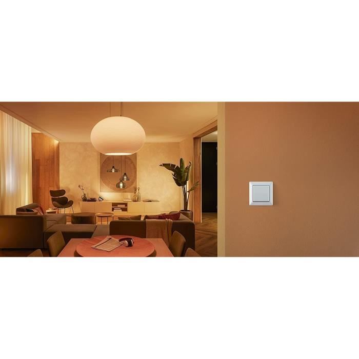 Philips Hue Module d'interrupteur mural, Blanc, fonctionne avec Alexa, Google Assistant et Apple Homekit