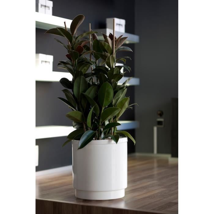 PLASTIKEN Pot de fleurs a réserve d'eau Hidrojardinera - Ø22 cm - Gris anthracite