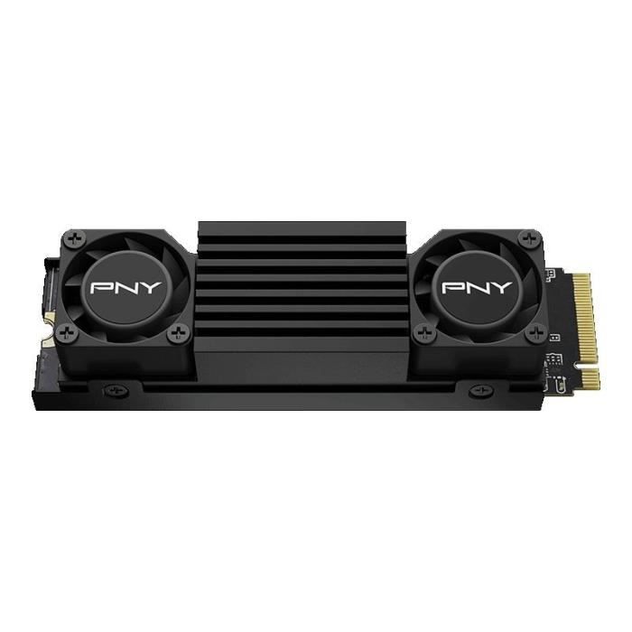 PNY - CS3150 - Disque dur SSD Interne - 2To - M.2 NVMe (M280CS3150HS-2TB-RB)