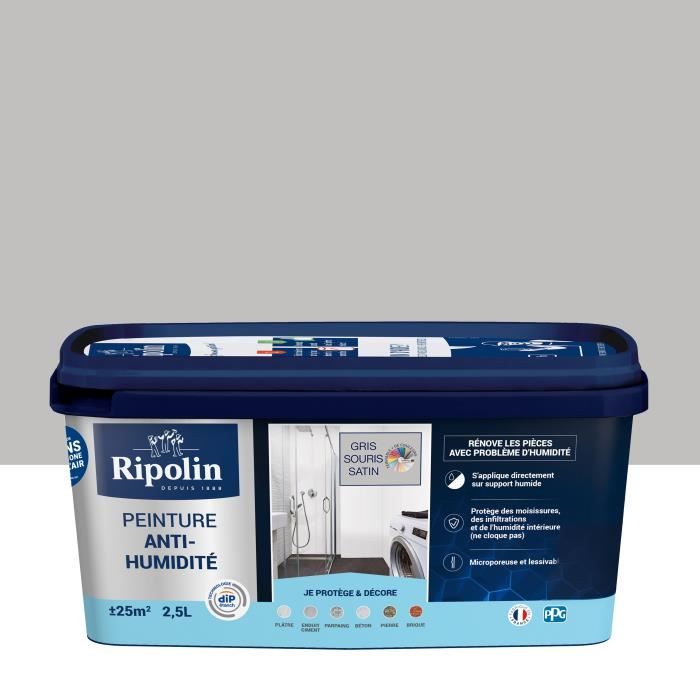 RIPOLIN PEINTURE ANTI-HUMIDITE 2,5L