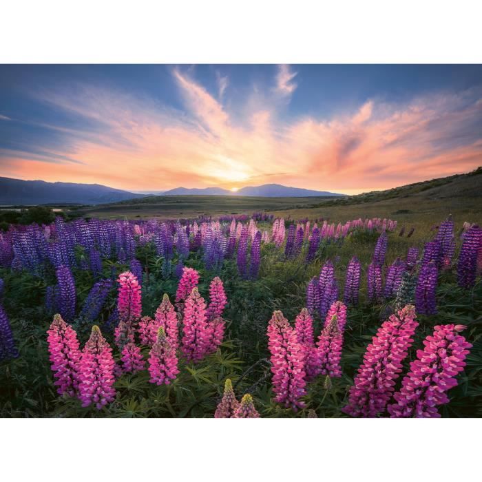 Puzzle 500 pieces Les lupins (Nature edition), Des 12 ans ,  Puzzle de qualité supérieure, 12000688, Ravensburger