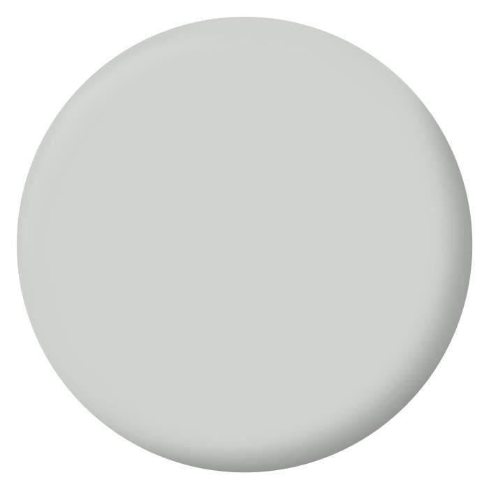 RIPOLIN Peinture Couleur Velours pour Murs, Boiseries Radiateurs - Gris lome