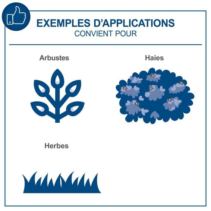 Coupes-bordures/taille-haies sans fil C-HTGS200-X - lame acier trempé - SCHEPPACH 20V IXES - sans batterie ni chargeur